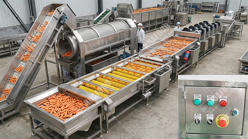 carrot cleaning line details