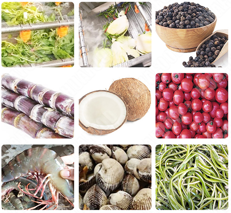 fruit washing machine applications