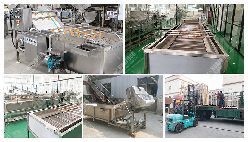 fruit washing machine details