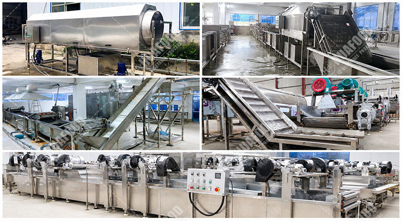 radish cleaning line details