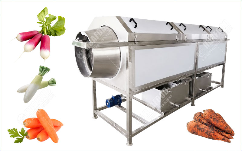 radish cleaning machine