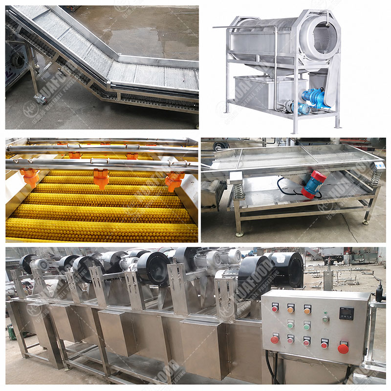 radish washing machine details
