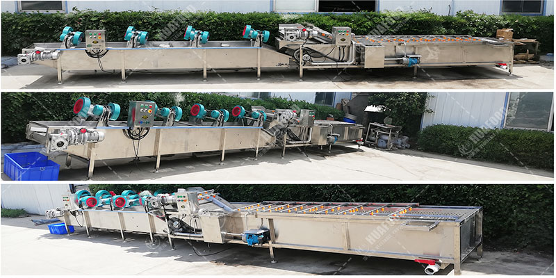 vegetable washing line details