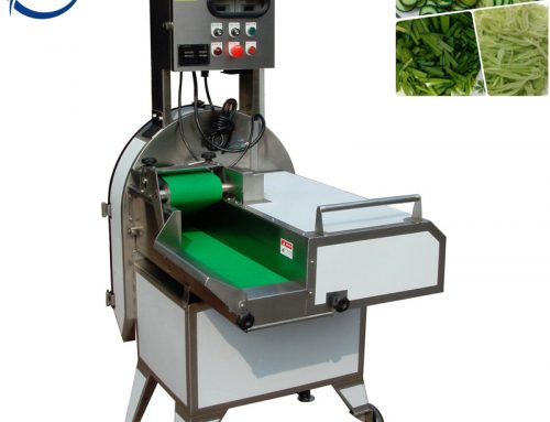 Daily maintenance of multi-function vegetable cutting machine