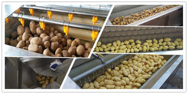 potato peeling machine