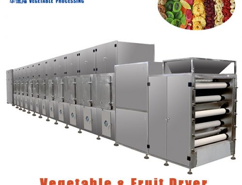 HGWD5-1.2-8B Belt Type continuous vegetable and fruit dryer dehydrator