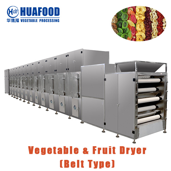 Best Industrial Continuous Belt Food Drying Machine for Sale