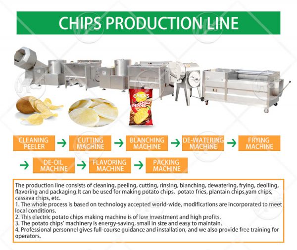 French fries machine for business - Huafood machine - Vegetable & Fruit  Cleaning Machine，Potato Chips Production Line