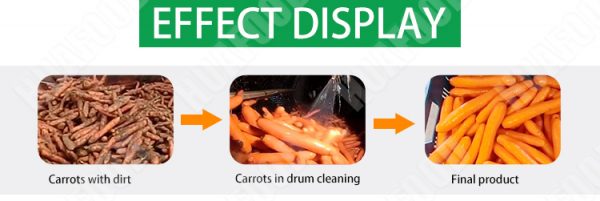 Carrot processing equipment