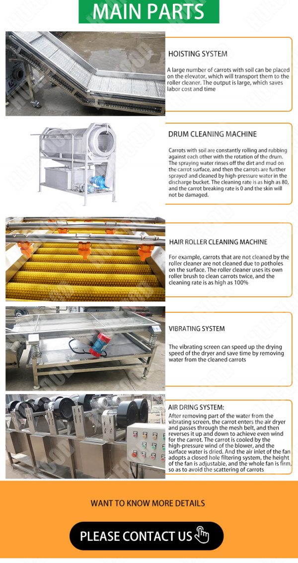Carrot processing equipment