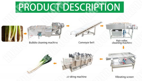 Vegetable processing machinery 