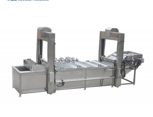 HPT-2500 vegetable potato blanch banana potato chips blanching machine