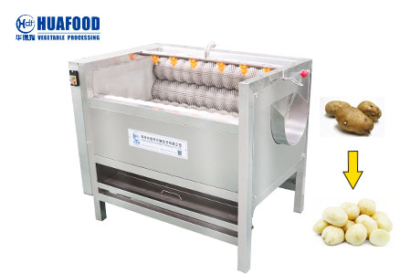 French fries machine for business - Huafood machine - Vegetable & Fruit  Cleaning Machine，Potato Chips Production Line