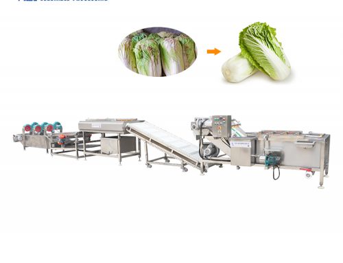 Línea de procesamiento de lavado y corte de vegetales.