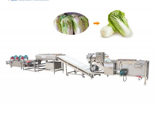 Vegetable washing and cutting processing line