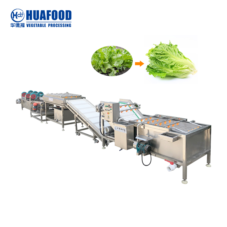 https://www.huafoodmachine.com/wp-content/uploads/2020/06/Lettuce-processing-machinery.jpg