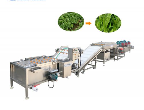 Industrial fruit and vegetable washing line