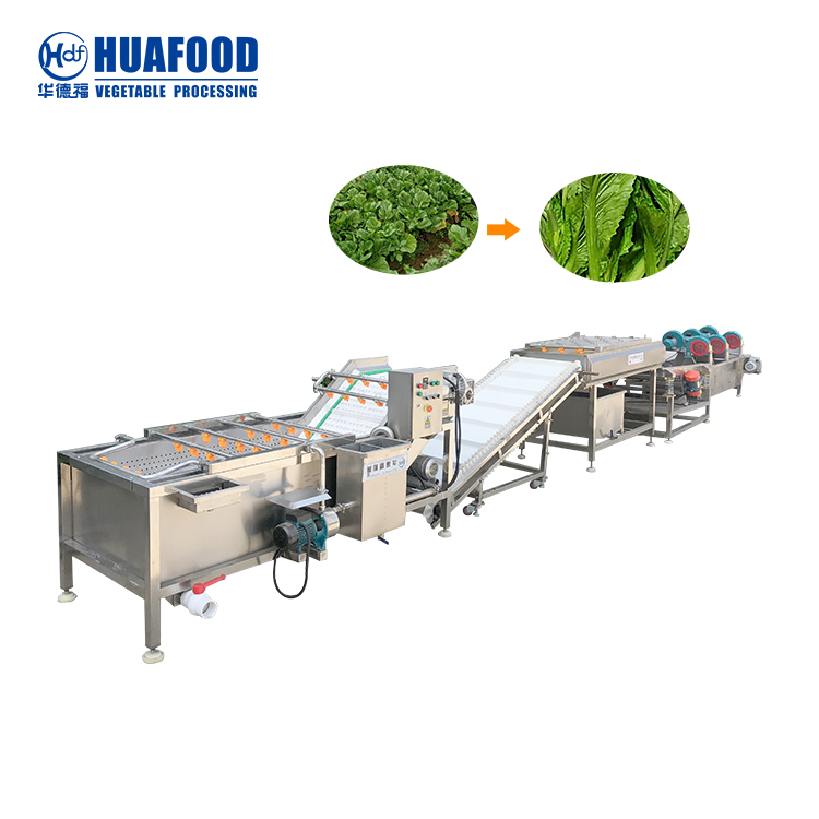 Frutta verdura Lavaggio Lavaggio taglio insalata alimentare linea di  lavorazione - Cina Linea vegetale, linea di produzione