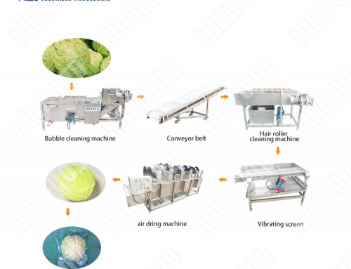 Linha de processamento de limpeza de repolho vegetal lavado