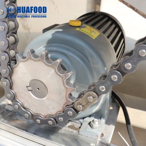 MSQ-1000A Brush root vegetable cassava washing peeling machine