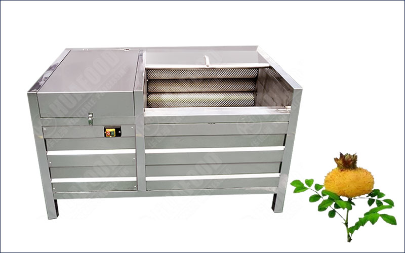 fruit washing and peeling machine