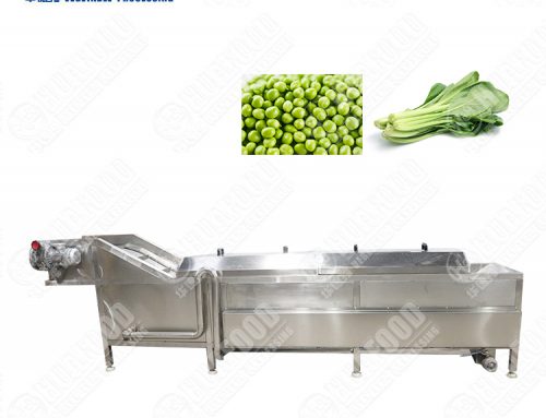 Máquina automática para blanquear frutas y verduras, repollo y frijoles