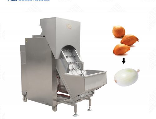 Onion skin removing/peeling processing machine