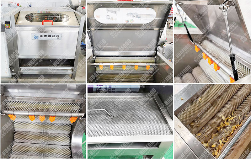 prickly pears washing machine