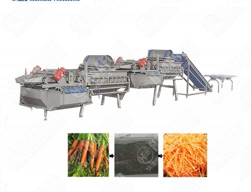 Vortex Vegetable lettuce Washing Processing,Cycle cleaning Salad Washer