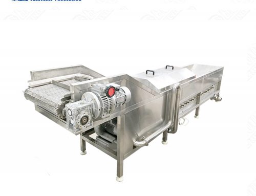 Commercial Used Steam Blanching Equipment Blanching Machine Processing Line For Chili