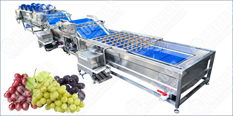 grape washing machine