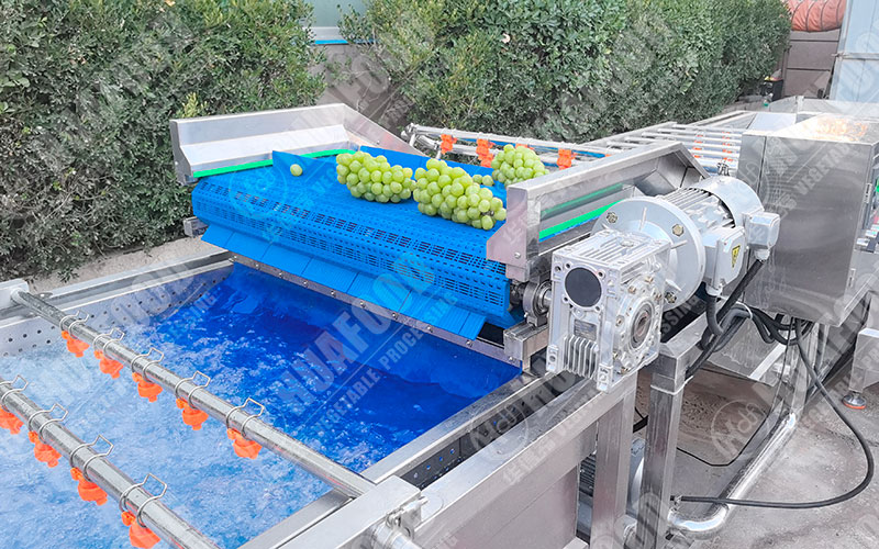 grape washing machine test details