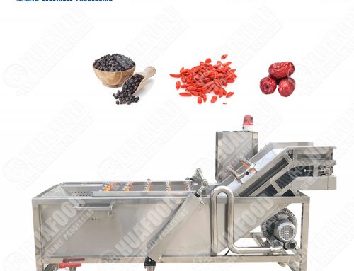 Washing drying Surf spray dry fruit grape vegetable cleaning machine