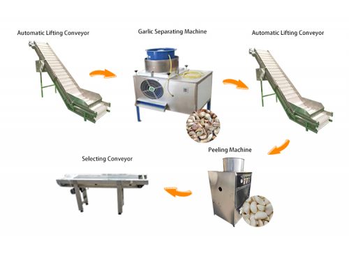 Macchine per la lavorazione dell'aglio / Linea di produzione della macchina per sbucciare l'aglio