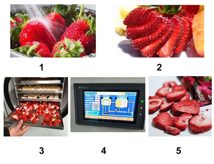 fruit freeze dryer