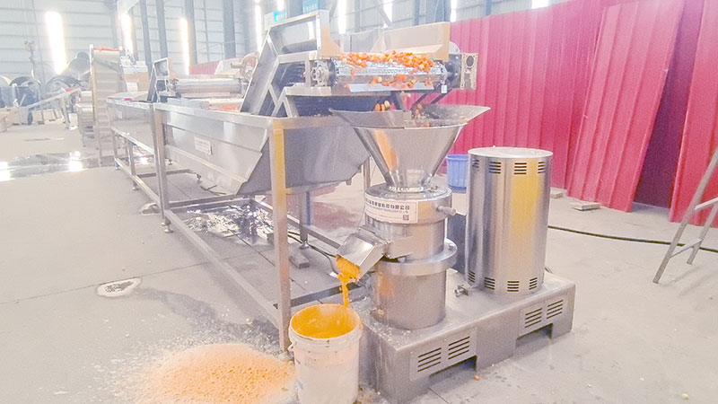 carrot paste grinding machine