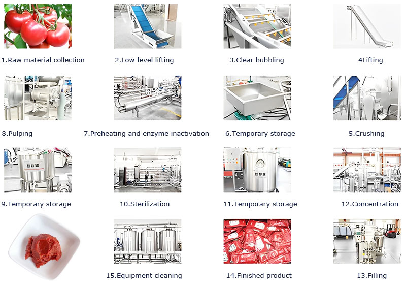 how is tomato paste made in factory