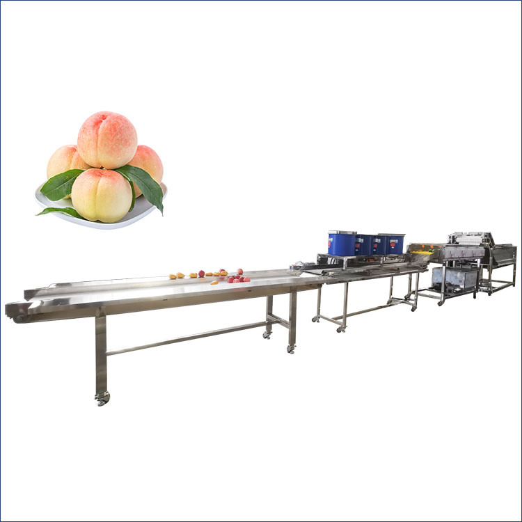 peach washing and drying machine