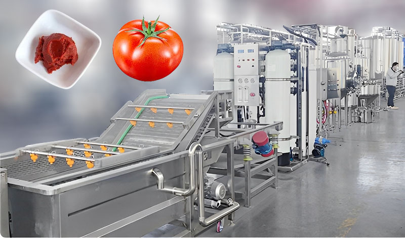 tomato paste production line