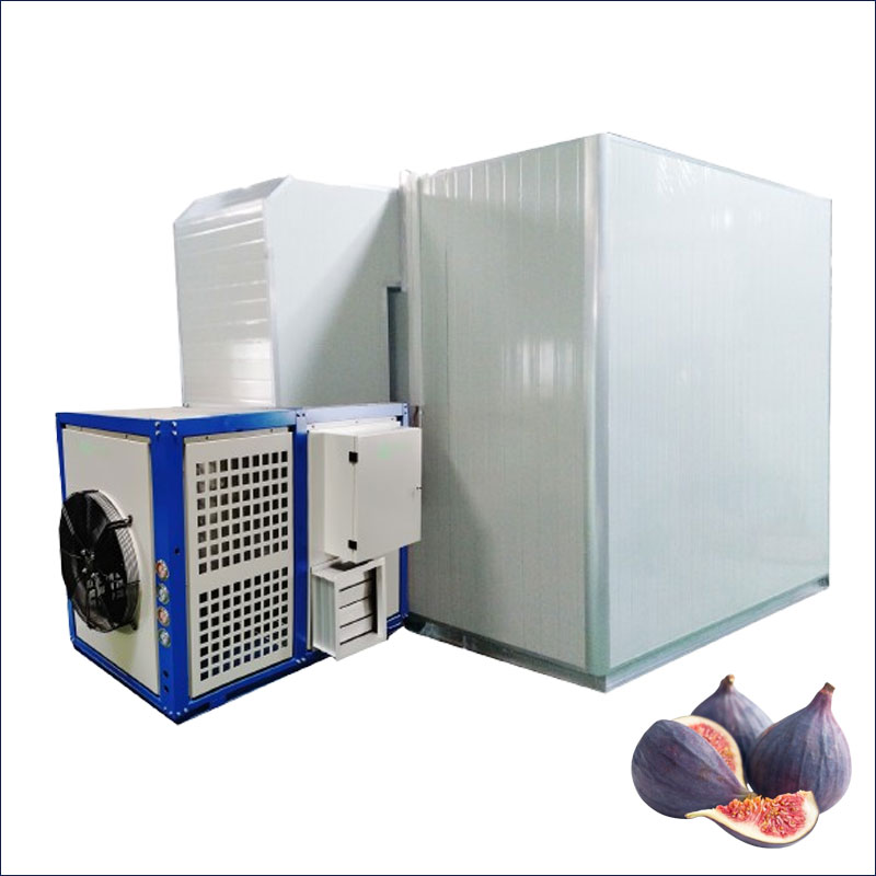 fig dehydrator machine