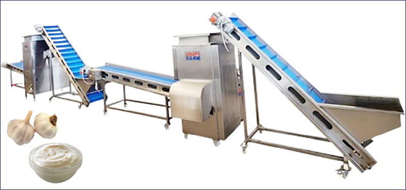 garlic paste production line