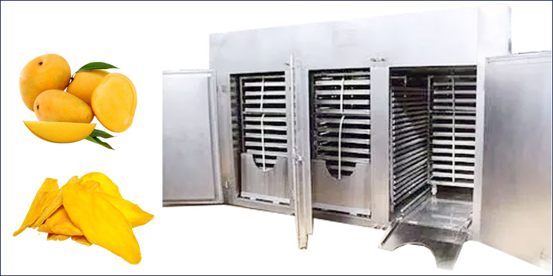 mango dryer machine