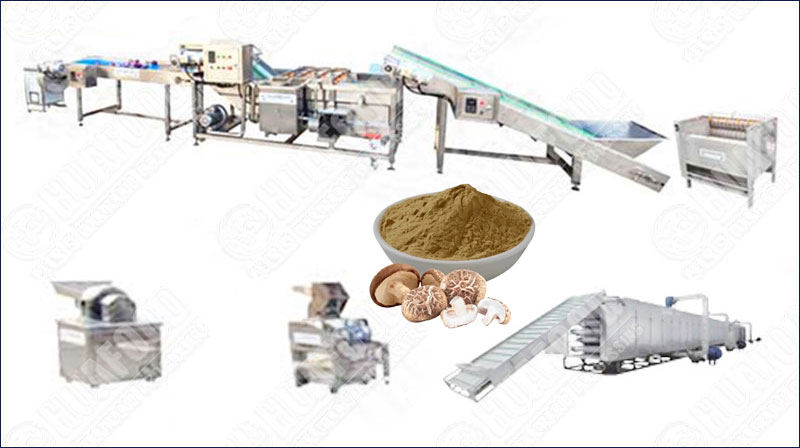 mushroom powder production line