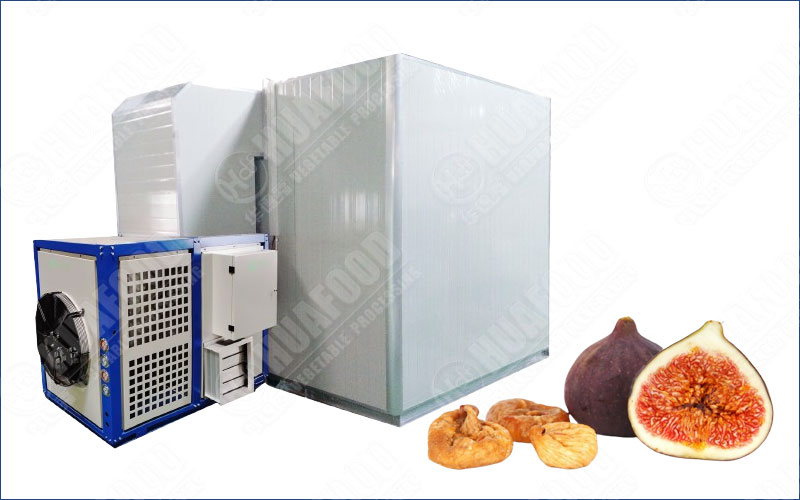 figs dehydrator machine