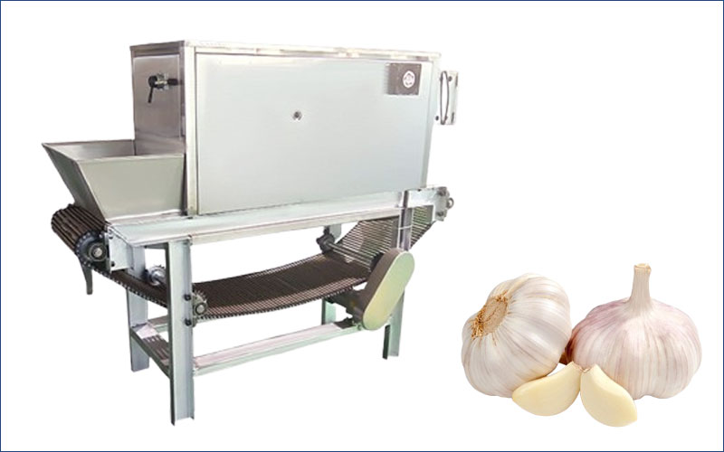 garlic peeling machine