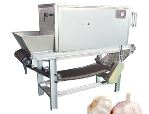 Industrial Chain Type Dry Garlic Peeling Machine With High Efficiency