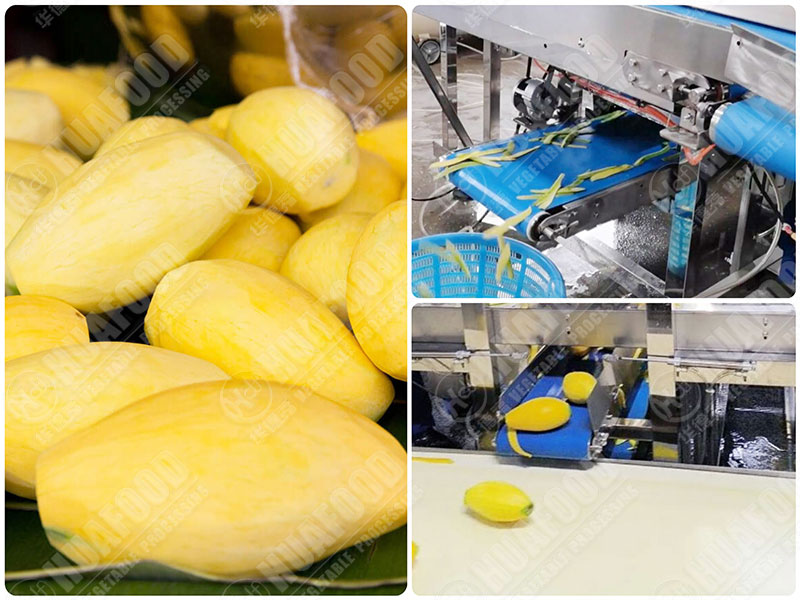mango peeler machine effects