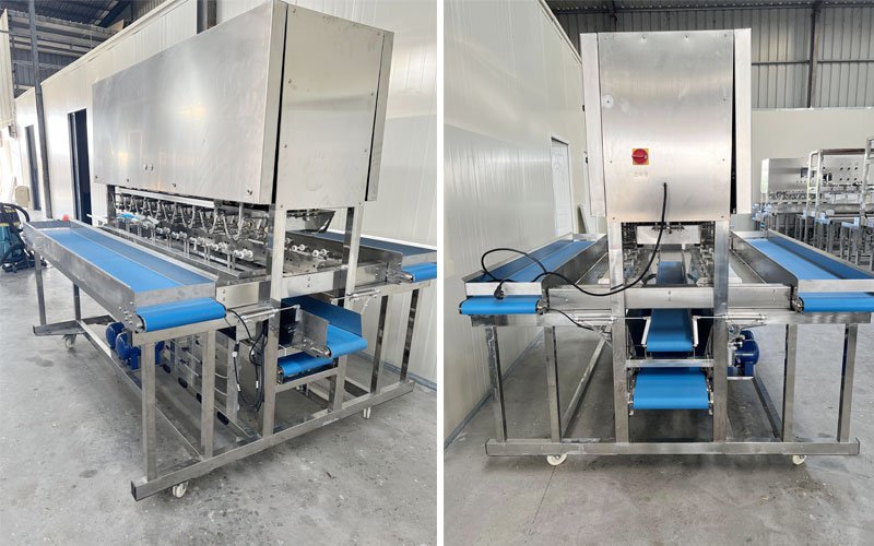 Mango peeling machine details in our factory