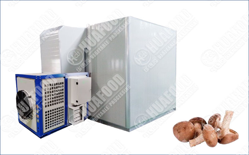 mushroom drying machine
