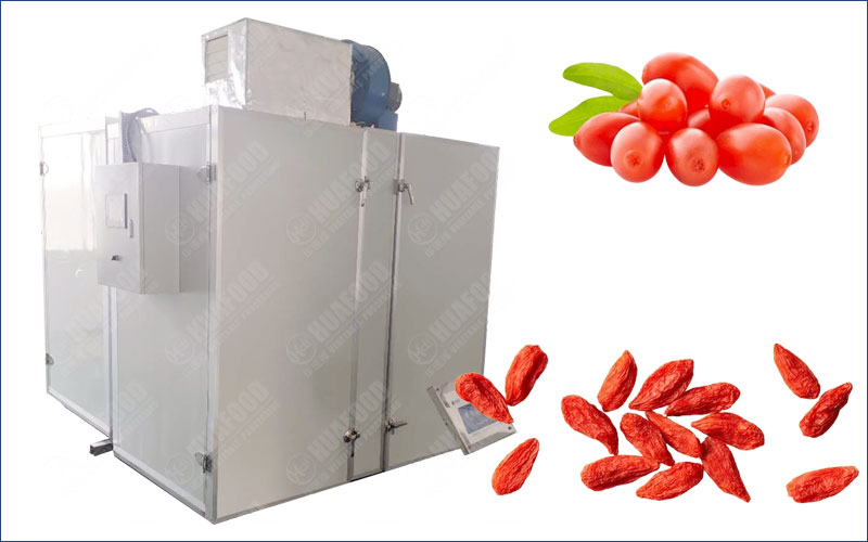 wolfberry drying machine